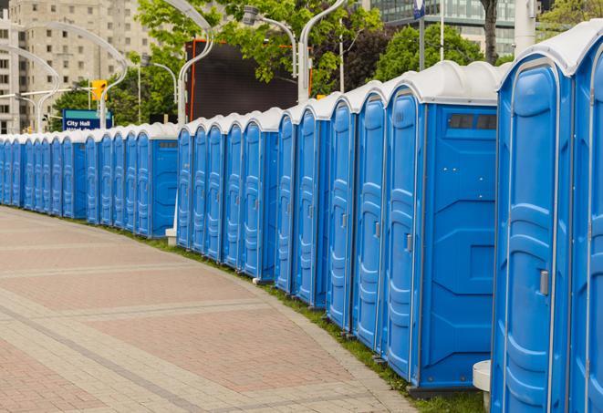 a line of brightly-colored portable restrooms, perfect for outdoor festivals and concerts in Caledonia